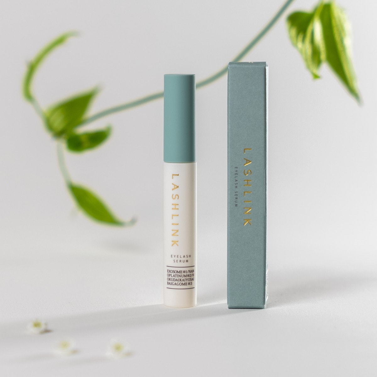 新品未使用 LASHLINK SERUM ラッシュリンクセラム LASH LINK EYELASH SERUM（ラッシュリンク アイラッシュセラム） – BEFUNKY