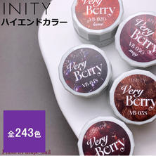 INITY ハイエンドカラー 3g