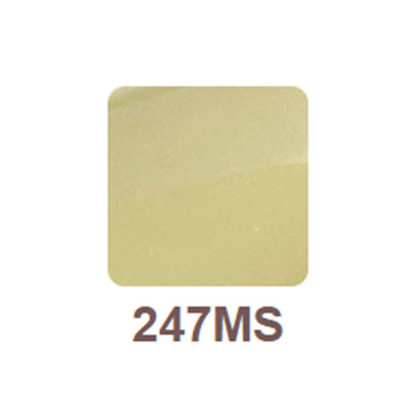 リッカジェル カラージェル 247MS 3g