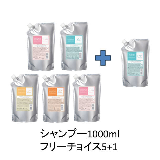 【5+1】プロマスターカラーケア シャンプー 1000ml キャンペーンセット
