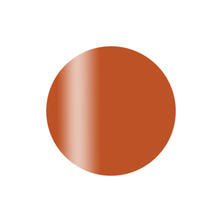 Calgel カラーカルジェルプラス シアーアンバー 2.5g