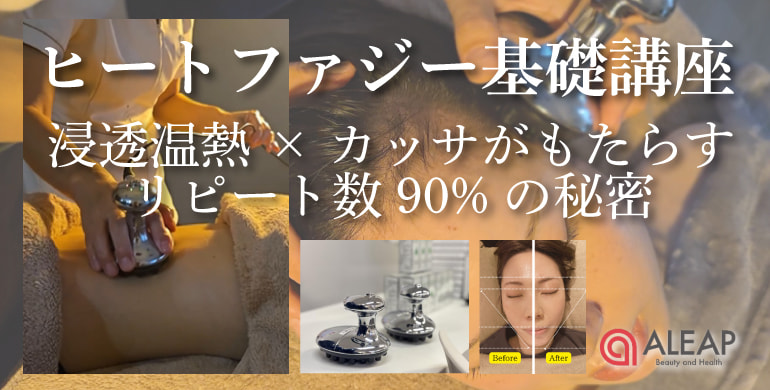 ヒートファジーセミナー