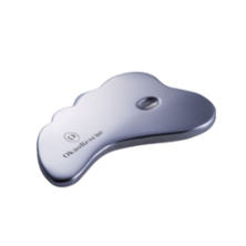 OkaoRescue キャシャミ カッサ