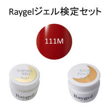 Raygel 選べるジェル検定セット