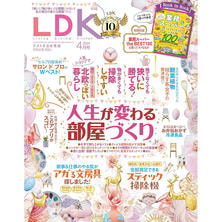 【定期購読】LDK（エルディーケー）[毎月28日・年間12冊分]