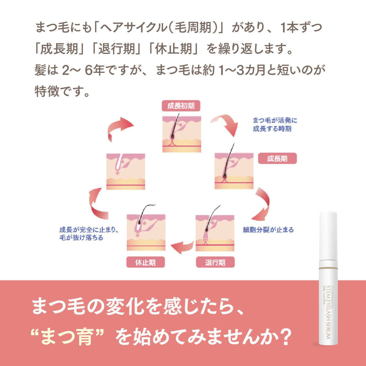 JC PROBeauty ステムアイラッシュセラム 5ml の卸・通販 | ビューティ