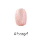 リッカジェル カラージェル DSMG01 2.7gの卸・通販 | ビューティガレージ