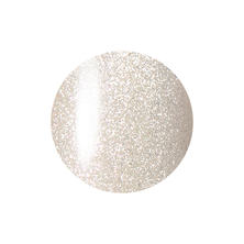 レイジェルマグネットカラージェル 009MG 5g