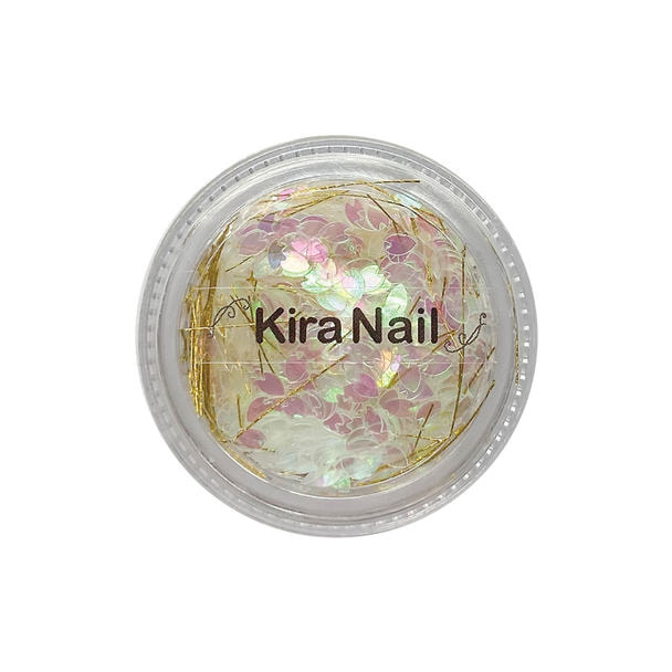 KiraNail（キラネイル）HOLOGRAM 花びら ケース入 オーロラ 1