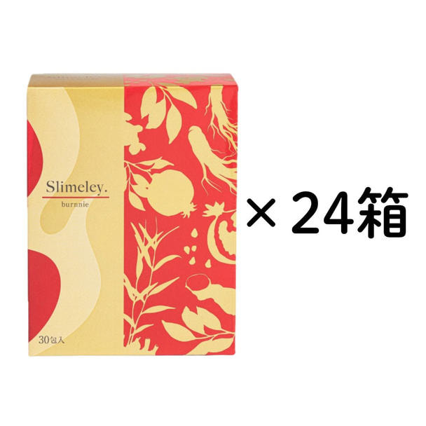 スリムレイ バーニー 15g×30包　24箱セット 1