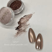 Vernis chrom powder(01)(1).jpg