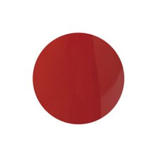 [PGU-S206] プリジェル ミューズ テラコッタ 3g