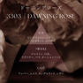 ARTiS di Voce ハイドレーティングボディローション 300g 3303 DAWNING ROSE 3