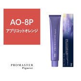 プロマスターピグメント AO-8P 80g《ファッションカラー》【医薬部外品】