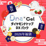 【数量限定！】DnaGel(ダイヤモンドトップ)DXパック 2026年福袋 1