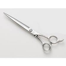 RAY COSMOS 131 RAY COSMOS 131