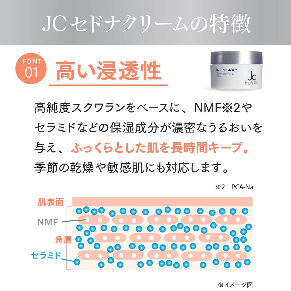 JC PROGRAM JC セドナリペールクリーム 30gの卸・通販 | ビューティ