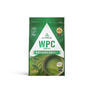 ALPRON WPC（ホエイプロテイン）抹茶風味（チョコチップ入り） 900g 1