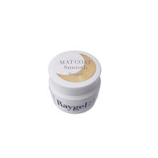 Raygel マットコート Smooth 4g