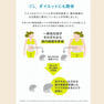 BROADBIFI（ブロードビフィ）2g×30本【機能性表示食品】 14