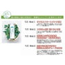 グリーンノート 自然葉シャンプー（無香料）300ml×3本 3