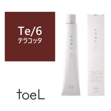 トエルカラー Te/6(テラコッタ6)100g《ファッションカラー》【医薬部外品】