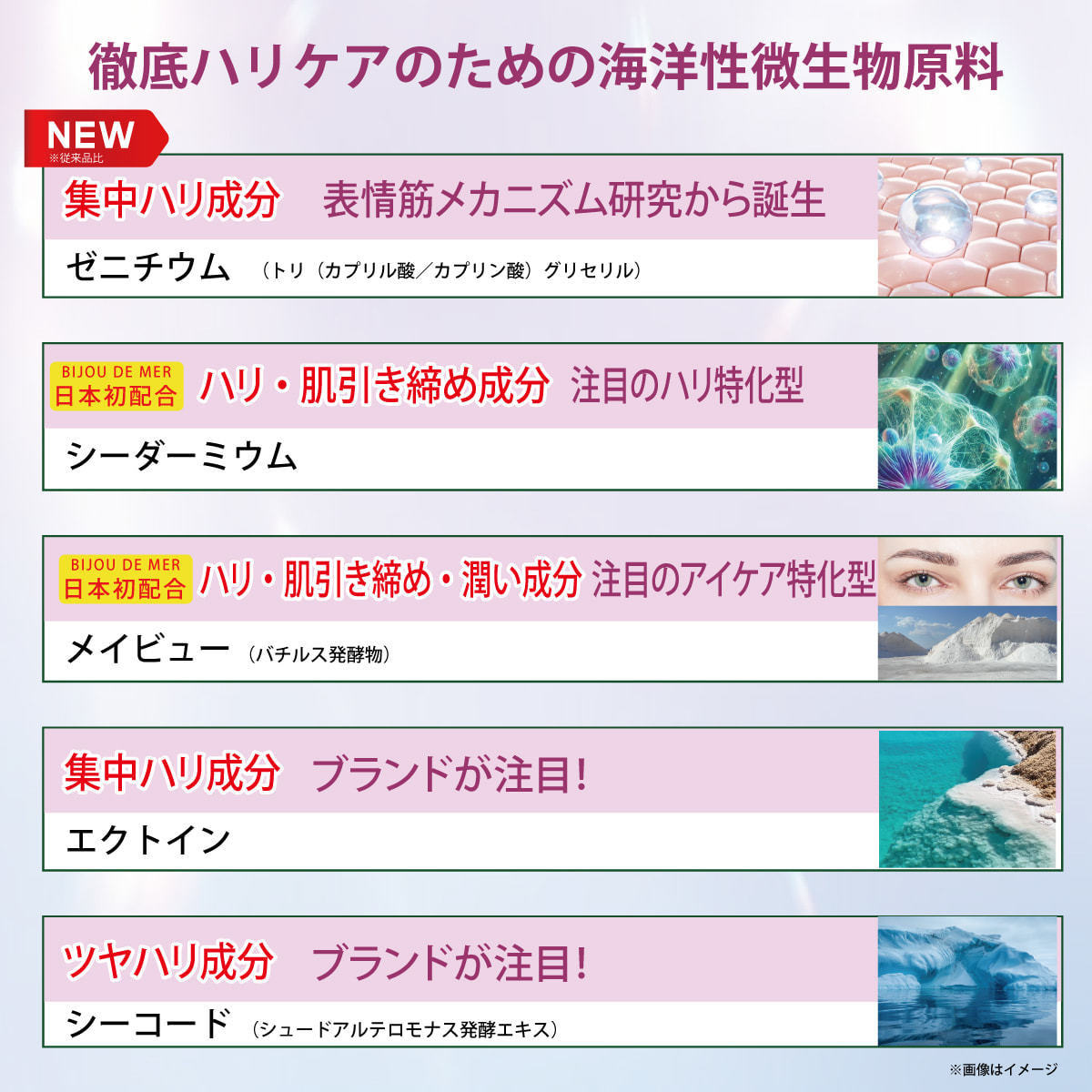ビジュードゥメール ボーテアンバリエンテ プロフェッショナルUV
