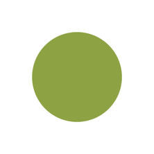 [PGU-M1041] プリジェルミューズ パロットグリーン 3g