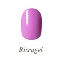 リッカジェル カラージェル 399M 3g