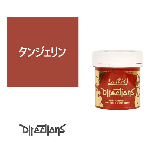 ディレクションカラー 100ml＜タンジェリン＞ 1