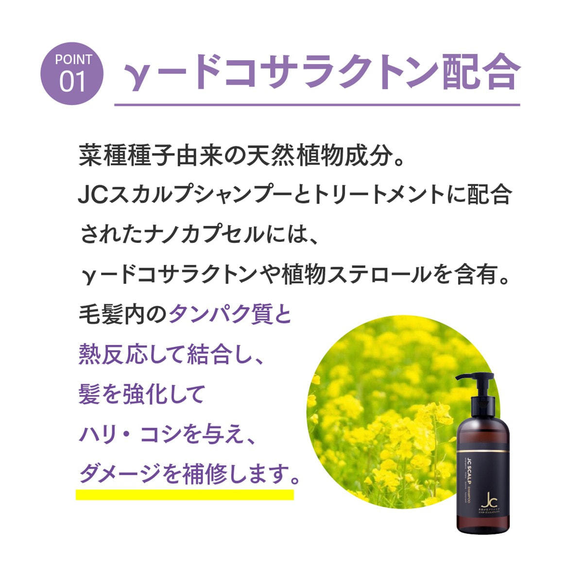 JC SCALP JC スカルプシャンプー 300gの卸・通販 | ビューティガレージ