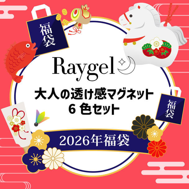 数量限定！】Raygel 大人の透け感マグネット 6色セット 福袋2026の卸