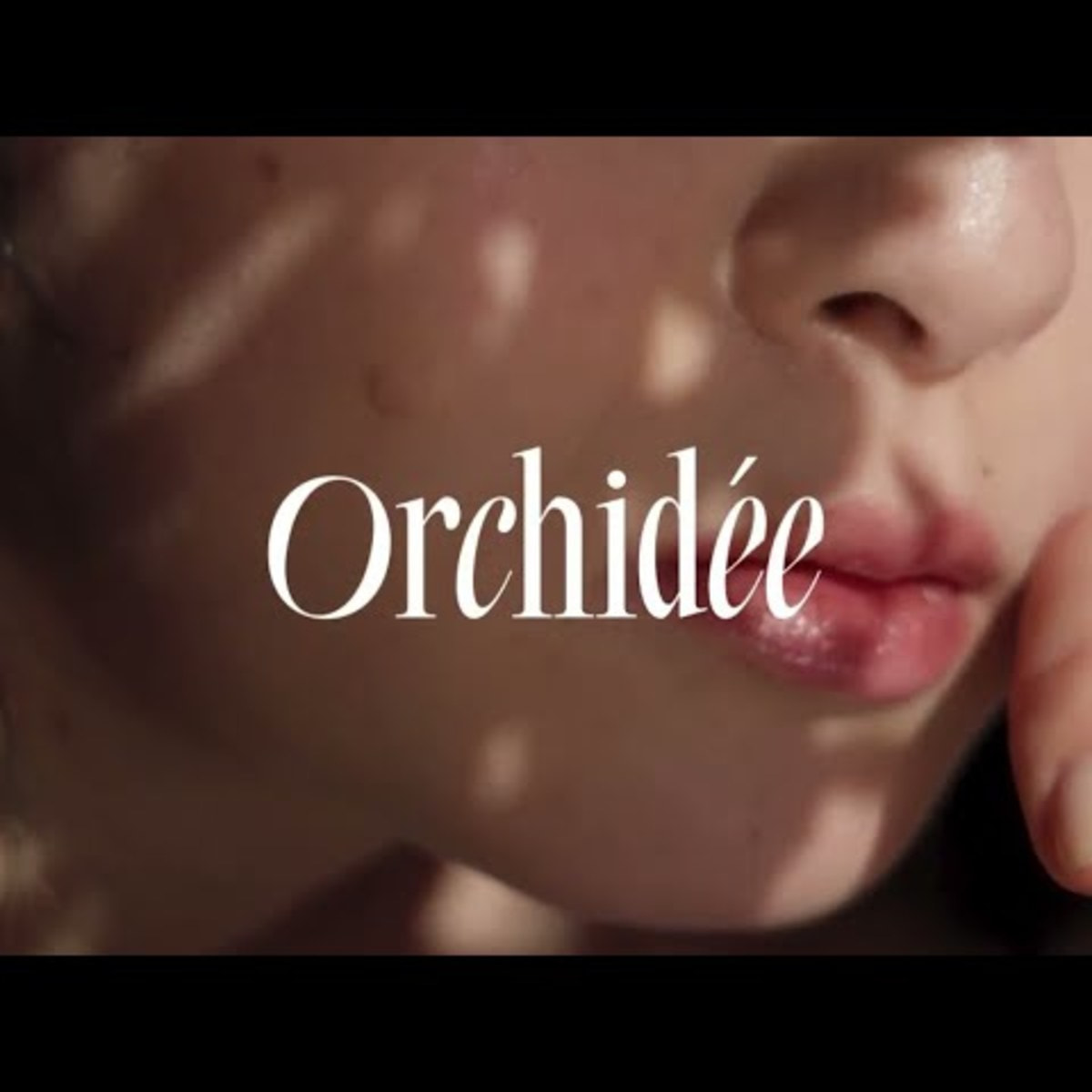 メゾンオルキデ　3点セット メゾンオルキデ 3種サシェ（各5ml）の卸・通販 | ビューティガレージ