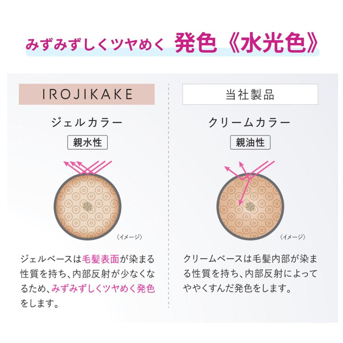 3+1キャンペーン】イロジカケ新色先行予約セットの卸・通販