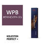 コレストンパーフェクトプラス WPB（ホワイトピンクベージュ）80g《ファッションカラー》【医薬部外品】 1