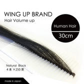 wing-up-human-hair.jpg