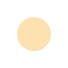 [CE248] プリジェル カラーEX パステルアイボリー