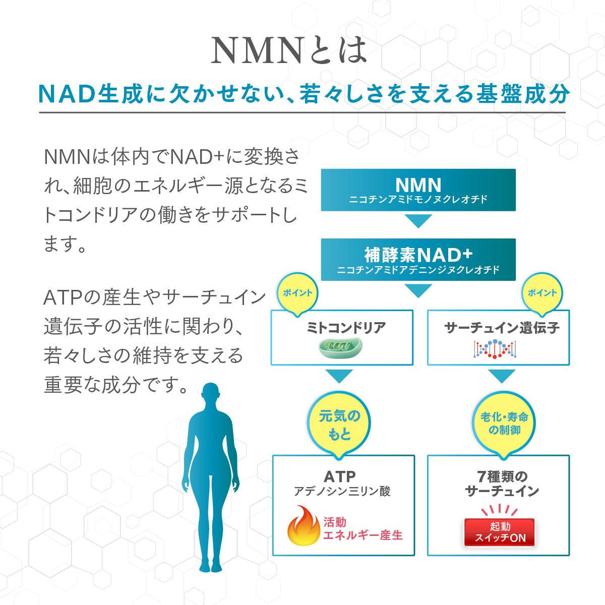JC NMN サーチュインブースター プロフェッショナル15000プラスの卸