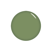 STORYJEL365 カラージェル 抹茶のケーキ 2g（SJS-011M-2G）