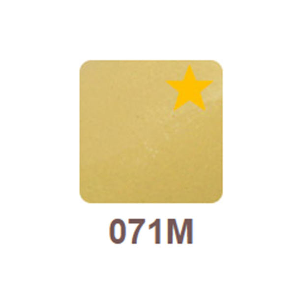リッカジェル カラージェル 071M 3g