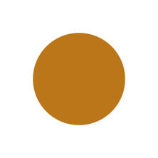 [PGU-M072] プリジェル ミューズ 王様のカリー 3g