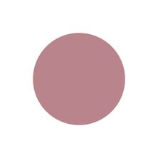 [PGU-M042] プリジェル ミューズ スモーキーピンク 3g