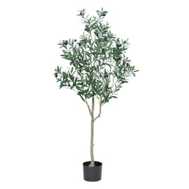 人気商品ランキング 観葉植物 マッサージ リラク ビューティガレージ