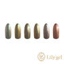 Lily gel ドレッシーミラーパレット 6色入り [FR00DMP] 2