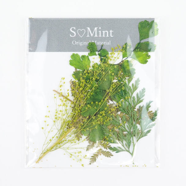 SMint リーフセレクト Dry Leaf Assorted 1