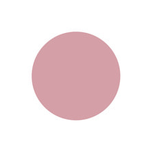 [PGU-S090] プリジェル ミューズ シアーピーチ 3g