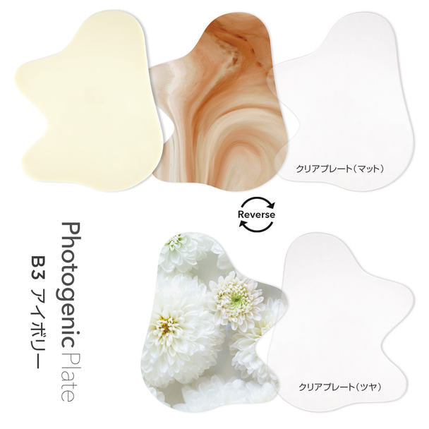 TOY’s × INITY フォトジェニックプレート B3 アイボリー