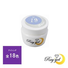 Raygel カラージェル 4g（アイシング）