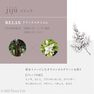 hanatomi ボディオイル jiju（ジジュウ）10ml 3