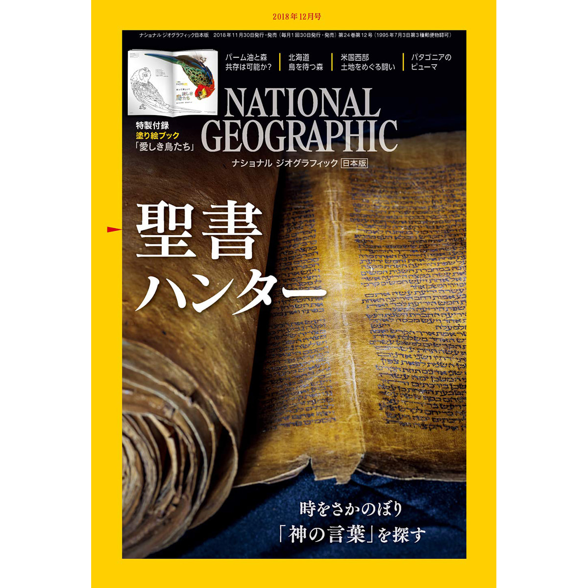 定期購読 ナショナルジオグラフィック日本版 毎月30日 年間12冊分 の卸 通販 ビューティガレージ